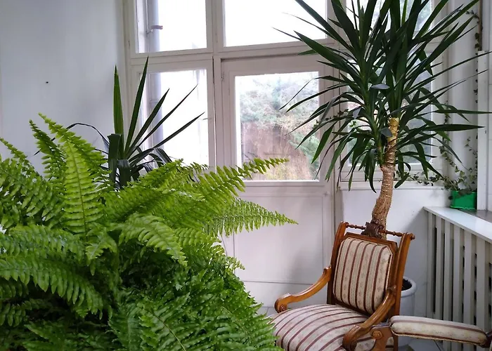 Habitación en casa particular In Prague-big+comfy